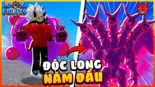 Songfish Đã Ăn Trái Venom 😱 Hóa Thành Độc Long 5 Đầu Trong Blox Fruit | Roblox