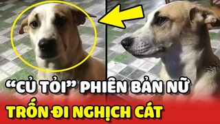 CỦ TỎI phiên bản nữ xuất hiện, TẮM xong là trốn đi NGHỊCH CÁT 😂 | Yêu Lu