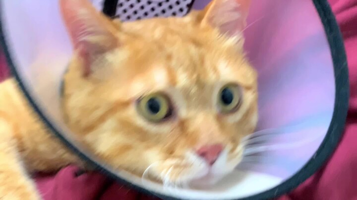 破案了！医生哥哥说多喝热水……