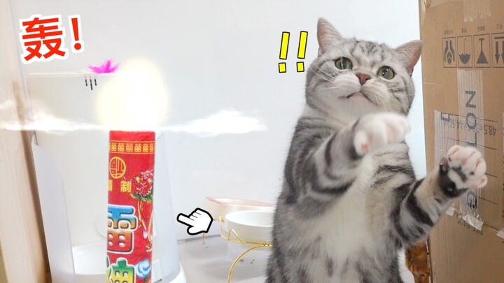 I lit a firecracker in front of the cat! The next second...