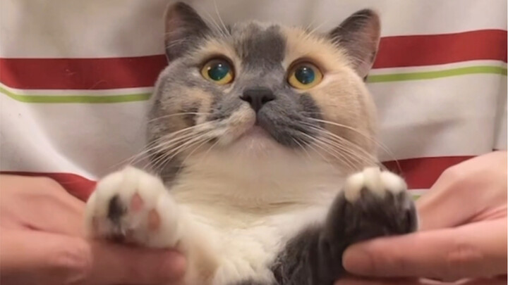 Genggam cakarmu, nikmati kelancaran bersama!