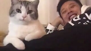 《รางวัลพฤติกรรมการเยียวยาของสัตว์➋➋》