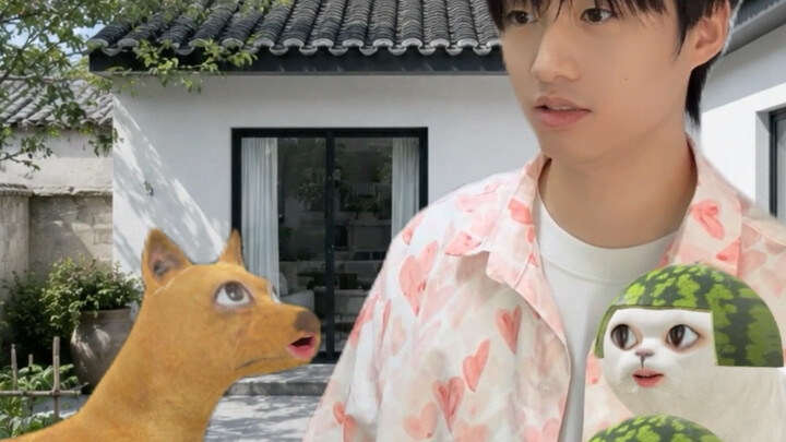 สุนัขเมืองและสุนัขชนบทสลับชีวิตกัน
