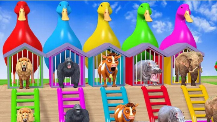 Every Giant Animal Races the final Mega Slide