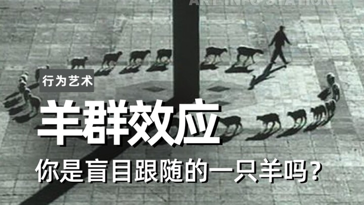 谢谢小羊警示我理性种草…