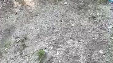 spar time po muna sila mga nokis 🤗