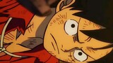 Do you know what King Luffy is?