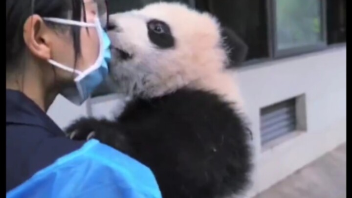 Which side a national treasure favors never needs a reason.