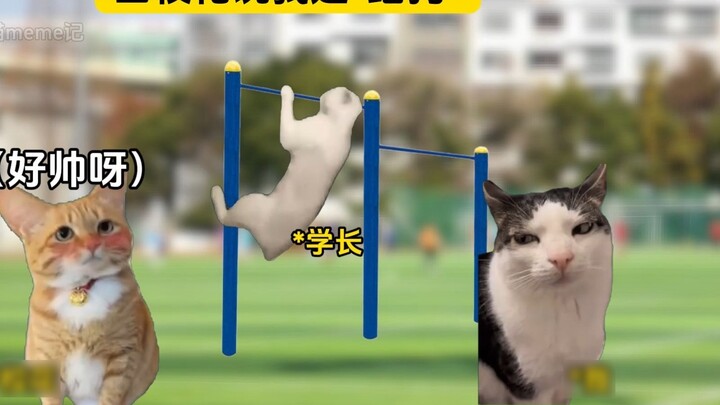 عندما تقول لي الفتاة الجميلة إنني كلب صغير