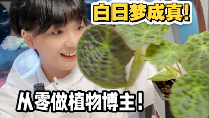 几盆植物而已！竟然想当植物博主！