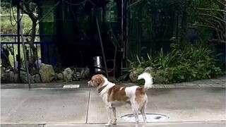 Is there a moment when you feel that there is something wrong with this world?