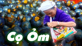 Món Ăn Trong Truyền Thuyết Phú Thọ RỪng Cọ Đồi Chè - Cọ Ỏm | LTL FOOD