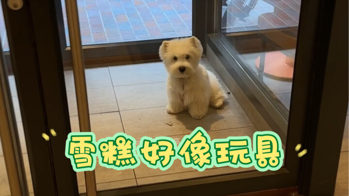 مثلجتي تبدو حقًا كأنها لعبة، كنت دائمًا أتبع الآخرين، لكن الآن أصبحت تعترف بي!