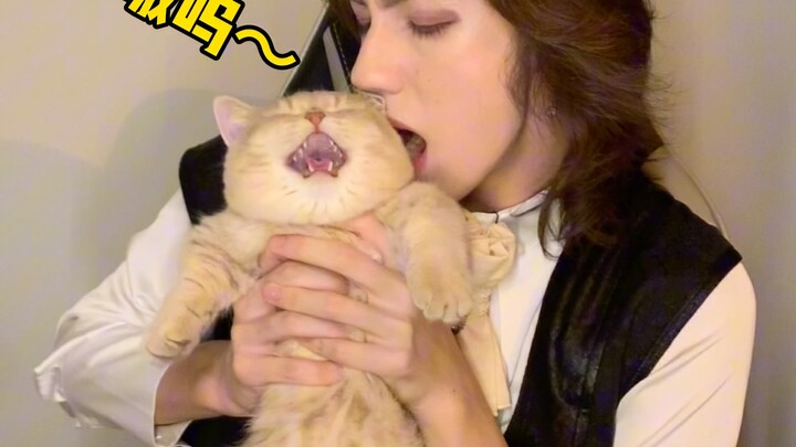 Mèo Đức Cổ phiên bản giới hạn Halloween!