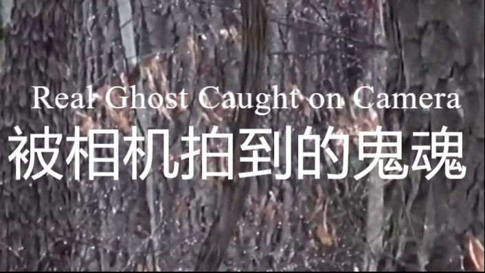 Ghost Caught on Camera (被相机拍到的鬼魂)