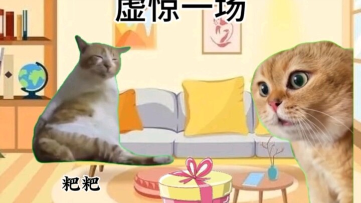【Cat meme】A false alarm