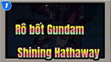 [Rô bốt Gundam] Chàng trai ơi, cậu đang định chạy trốn hả? / Shining Hathaway_1