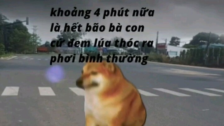 tró vô tri 3-meilivietnam-