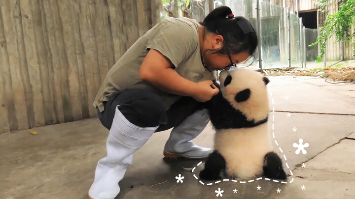 [Panda] Teaching a panda to walk - Panda: Come on, carry me