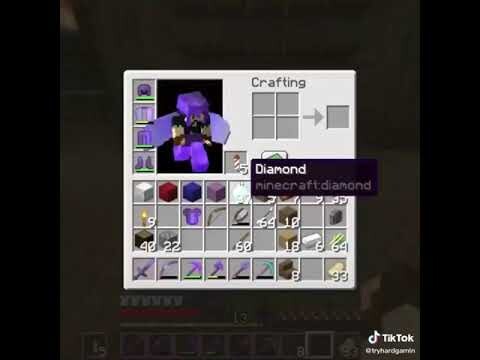 Minecraft tiktok