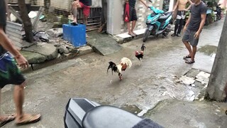 Tanggal sa Kati 😂 dalawang beses naleeg kalaban...