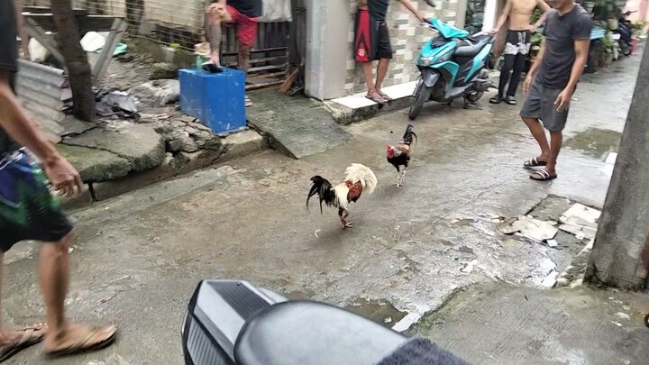 Tanggal sa Kati 😂 dalawang beses naleeg kalaban...