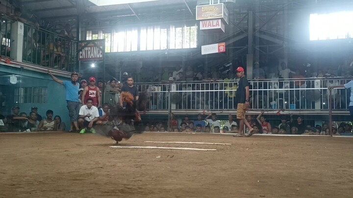 Panalo na Na talo pa WPC fight