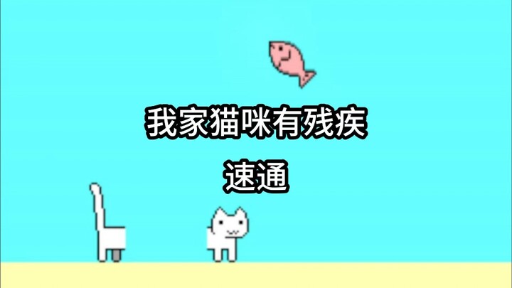 My cat has a disability!