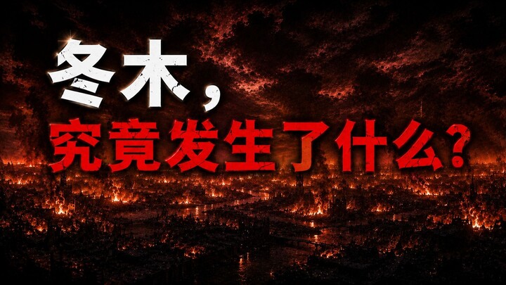 《FGO：人类史观察记录》02｜冬木到底发生了什么？