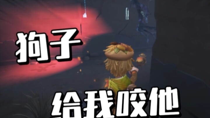 As everyone knows, cats' biggest enemy is dogs.