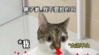 เจ้านายดูเหมือนจะยอมรับความจริงแล้ว...