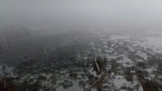 Vesper (2022) เวสเปอร์ ฝ่าโลกเหนือโลก.