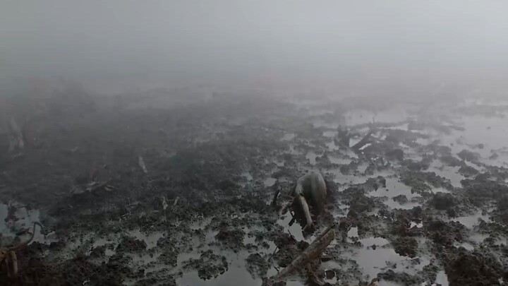 Vesper (2022) เวสเปอร์ ฝ่าโลกเหนือโลก.