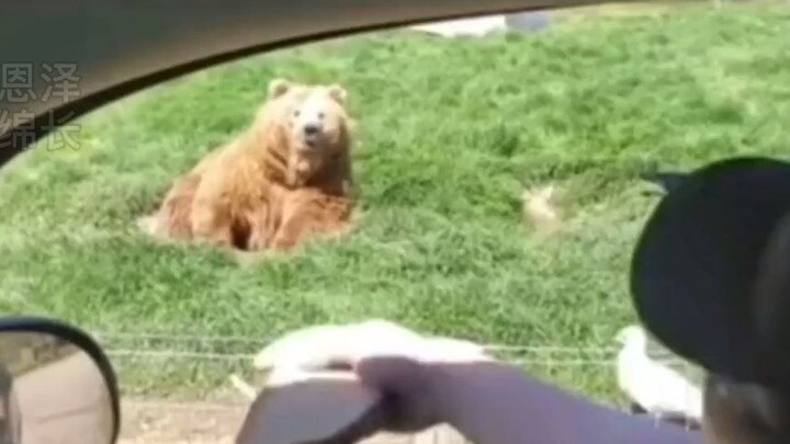 One throws with pinpoint accuracy, the other catches with pinpoint accuracy.