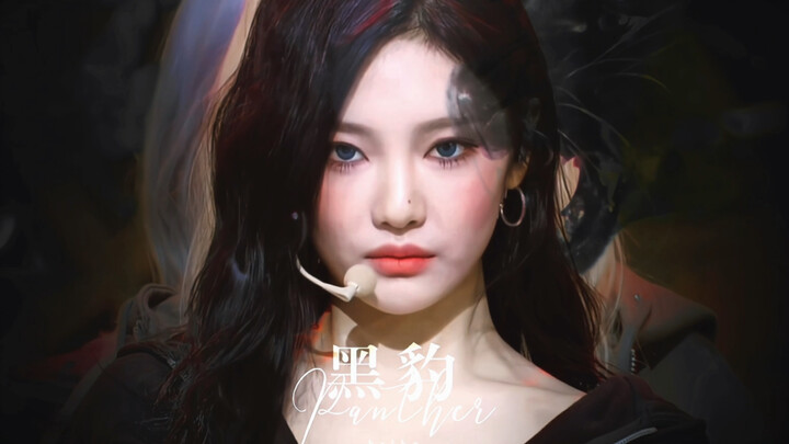 【aespa】肉 食 系 动 物