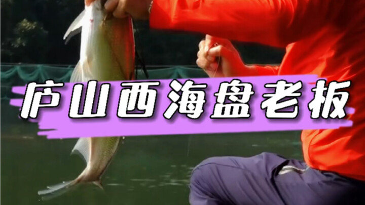 Lu Shan West Sea Fishing Spot Boss