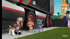 Paw patrol Musim 9 Episode 11 Bahasa Indonesia
