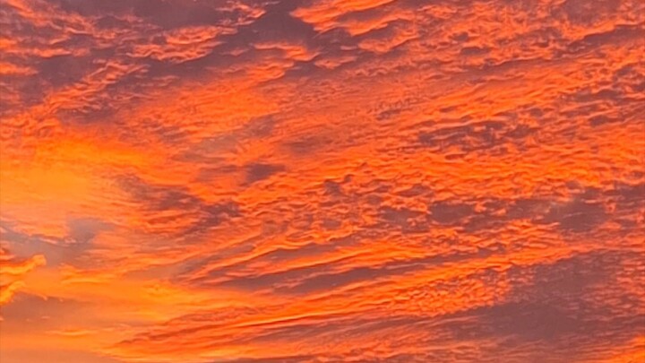 The sky turned red during the solar eclipse 🌑🔴 | Nature’s incredible moment