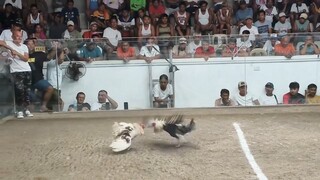 First fight: Win