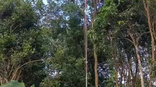 naiki towerr by mr H