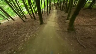 至少此刻是快乐的