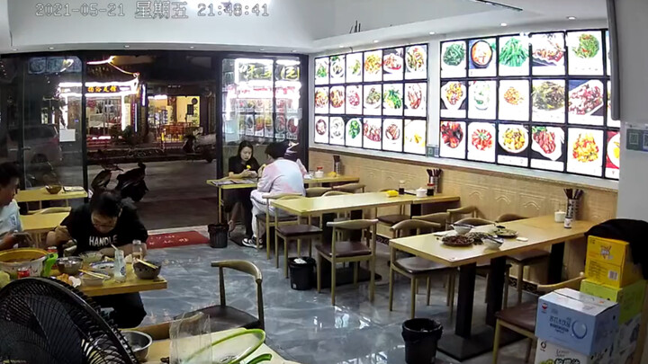 الزوجان كطائرَيْن في نفس الغابة