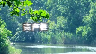 Tóm tắt phỏng vấn của đạo diễn Lâm và Lão Vương về Lễ hội thuyền rồng năm 2025 "Leviathan Connection