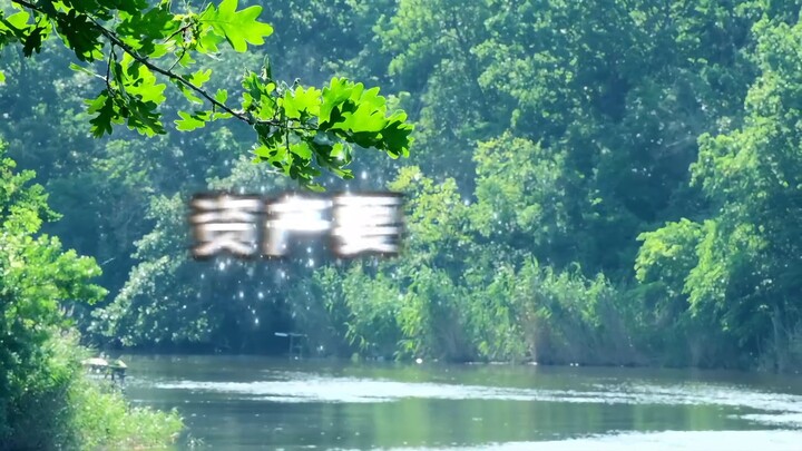 2025 Dragon Boat Festival "Leviathan Connection" Lin Director & Lao Wang interview summary; This sea