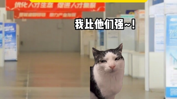 当大学生出去找工作，我郁闷了