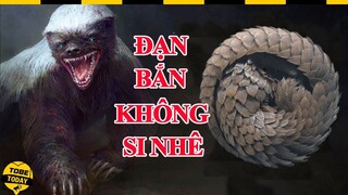 🔴 Đ.Ạ.N B.Ắ.N Không Si Nhê Và 10 Động Vật Có Bộ Giáp Siêu Cứng Thách Thức Mọi Định Luật Tự Nhiên