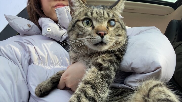 Tức quá mọi người ơi, cái thằng ăn hại nó cào rách luôn áo phao của mình, lại còn tranh thủ lúc lộn 