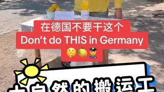 大自然的搬运工