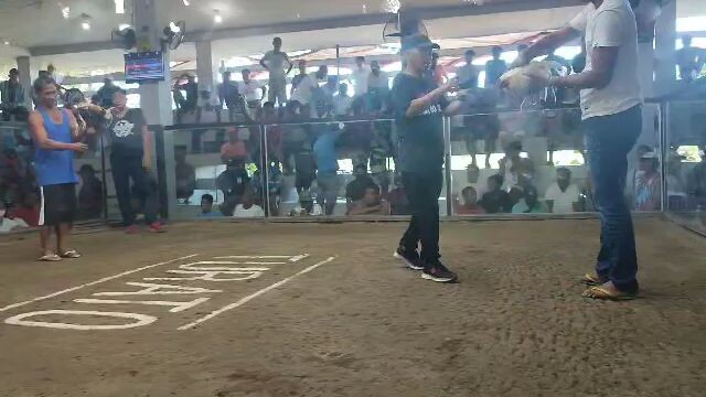 galing mo puti👌