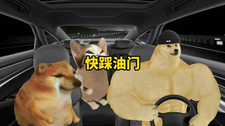 Sư phụ: Chết tiệt! Đạp ga nhanh lên!